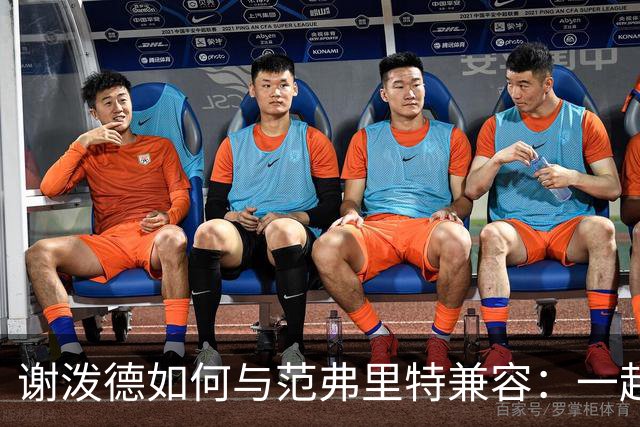 谢泼德如何与范弗里特兼容：一起首发出场还是担任替补分卫？